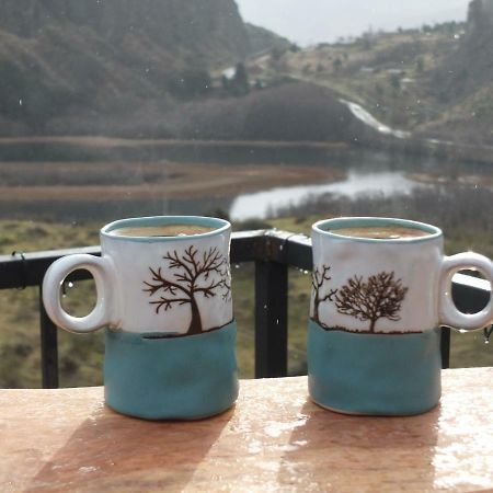 Domo Carpe Diem Patagonia Coyhaique Luaran gambar
