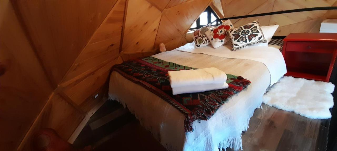 Domo Carpe Diem Patagonia Coyhaique Luaran gambar