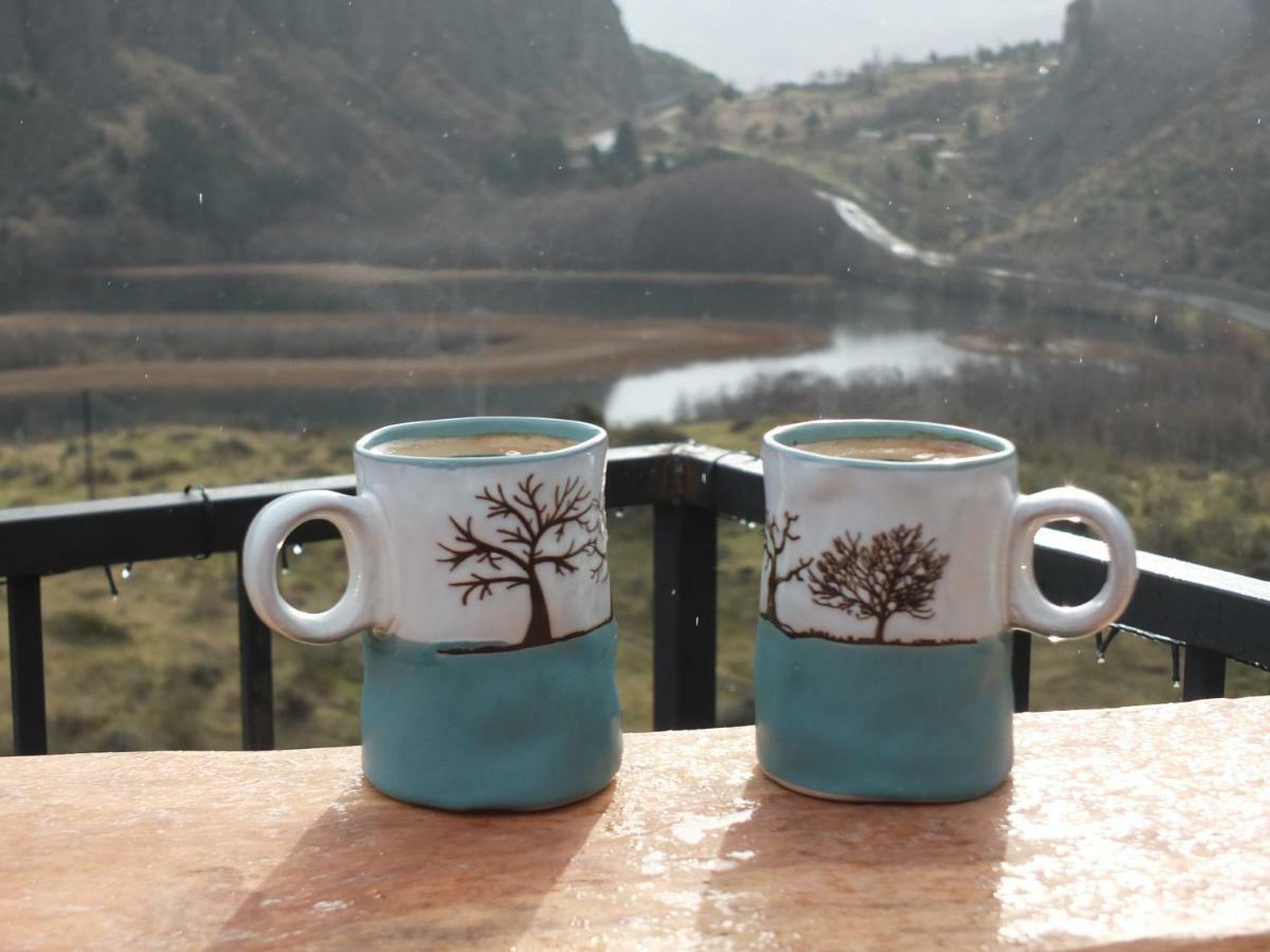 Domo Carpe Diem Patagonia Coyhaique Luaran gambar