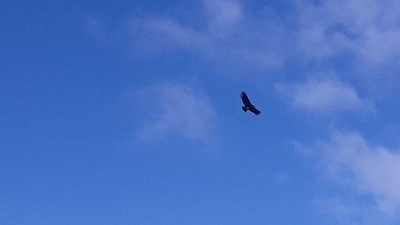 Domo Carpe Diem Patagonia Coyhaique Luaran gambar